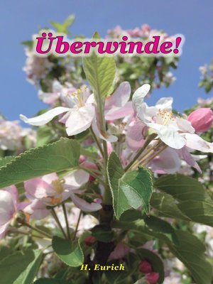 cover image of Überwinde